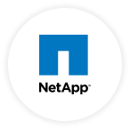 Net App Logo